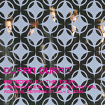 Duran Duran - Roskilde 2005 (back cover)