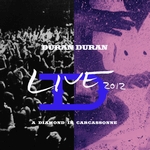 Duran Duran - A Diamond In Carcassonne (cover)