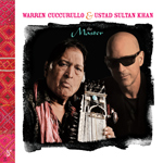 Warren Cuccurullo - The Master (cover)
