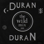 Duran Duran - The Wild Mix (cover)