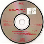 Duran Duran - All She Wants Is (cover)