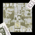 Duran Duran - Amigos In Florida (cover)